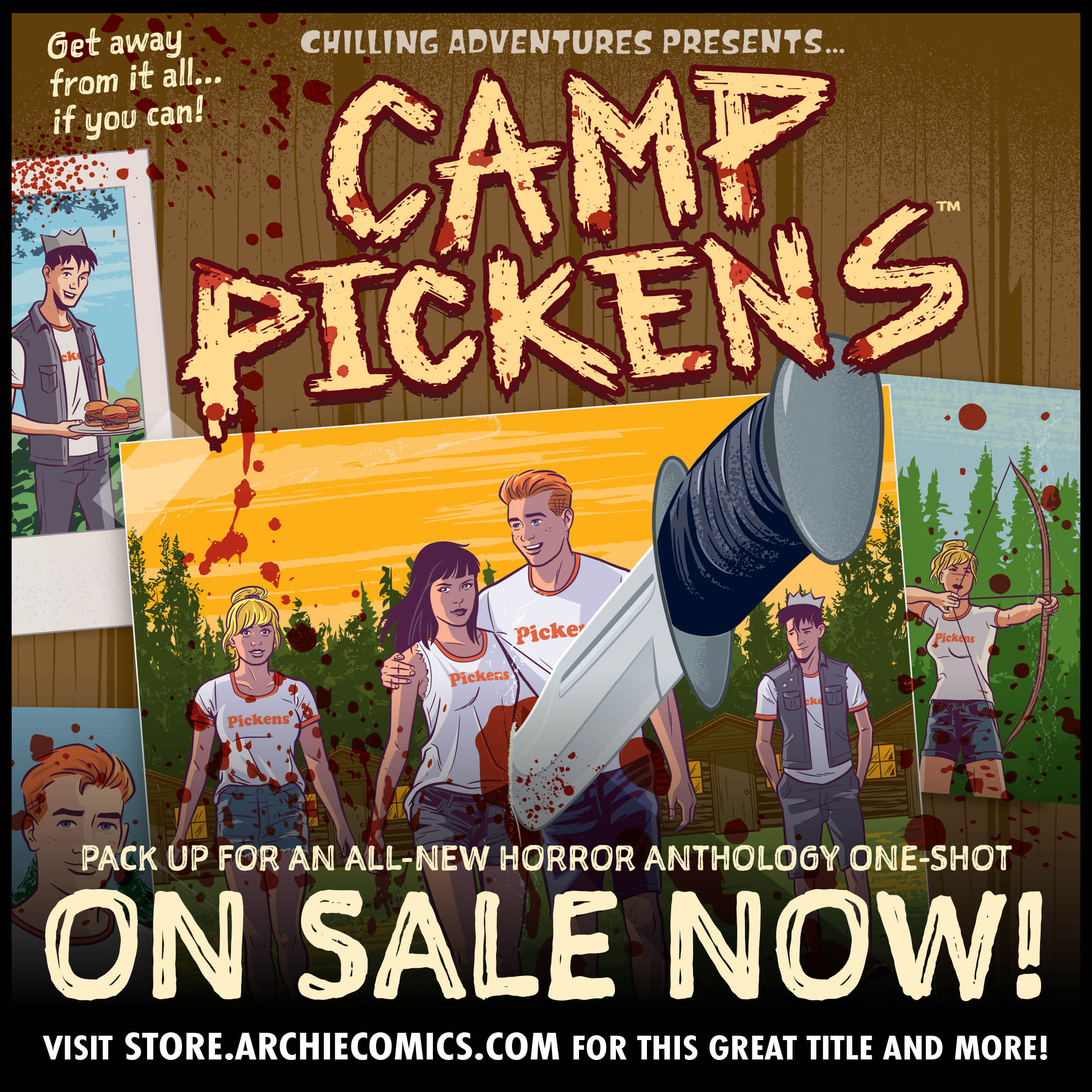 CAMP PICKENS preview FIRST COMICS NEWS